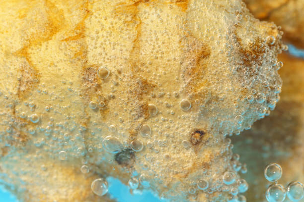 istock Ginger root in water close up macro. Healthy food concept. 1371234037
