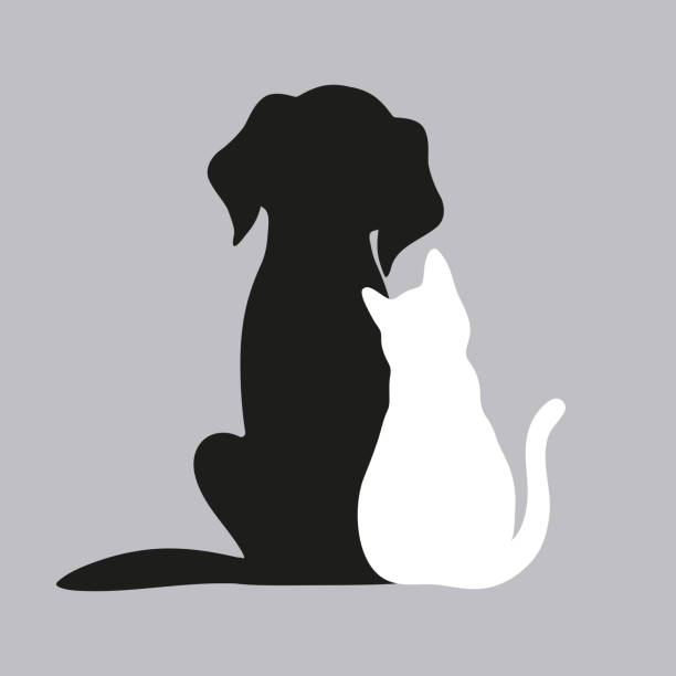 illustration der silhouetten eines hundes und einer katze auf grauem hintergrund - katze stock-grafiken, -clipart, -cartoons und -symbole
