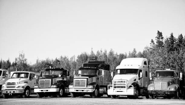Trucks in a parking lot. stock photo