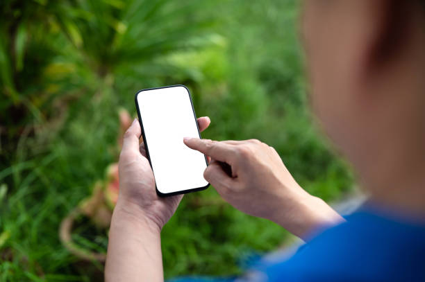 istock Adult man using smart phone with blank white screen at front yard garden 1371243313