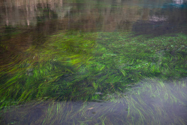Azmak River in Akyaka Village