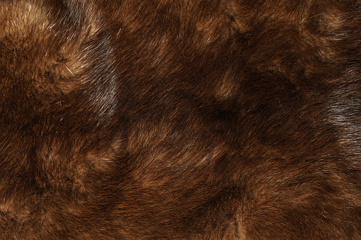abstract background of faux fur texture closeup