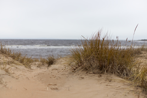 Image presents sandy path across the dune towards the sea in Halmstad, Sweden. There are some weeds and grasses. In the background sea is visible. Cloudy day and stormy weather.