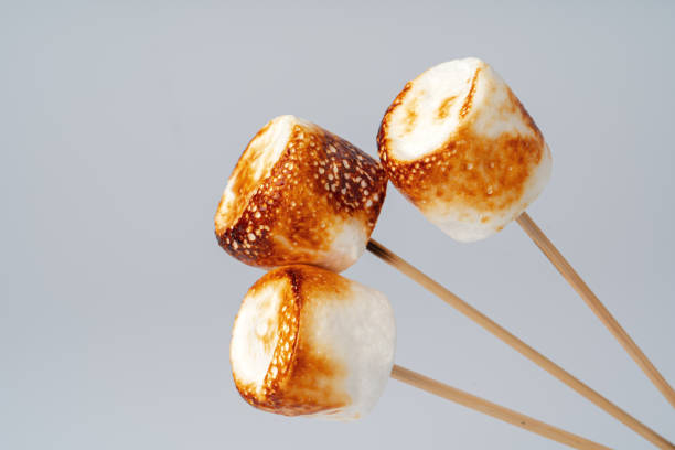 istock Roasted Marshmallow on a stick, isolated on a white background. 1371254513