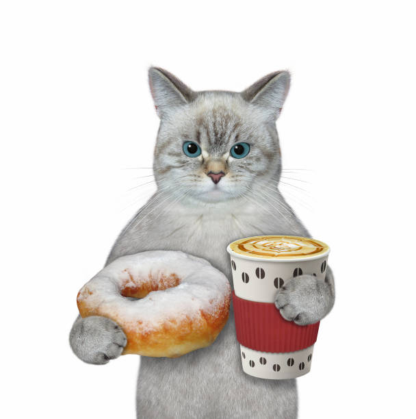 istock Cat ashen eats donut sprinkled powdered sugar 1371255399