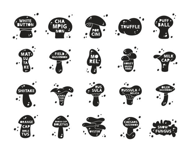 silhouette aufkleber set von speisepilzen. schwarze icons mit schriftzug innen und abstrakten spots - pilz stock-grafiken, -clipart, -cartoons und -symbole