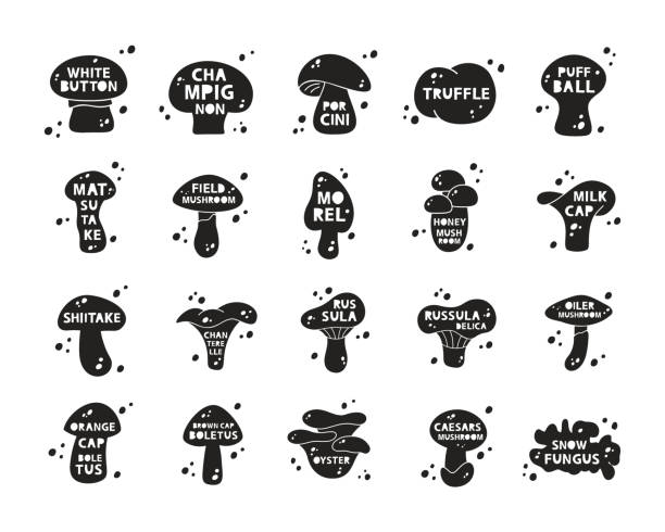 illustrations, cliparts, dessins animés et icônes de ensemble d’autocollants silhouette de champignons comestibles. icônes noires avec lettrage à l’intérieur et taches abstraites - edible mushroom shiitake mushroom vegetable isolated