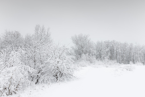 Picture of the the many scenes Alaska has to offer during the winter season.