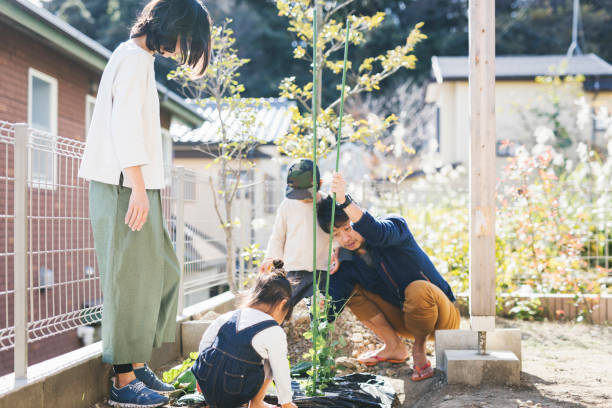 istock Asian family working in the kitchen garden 1371260772