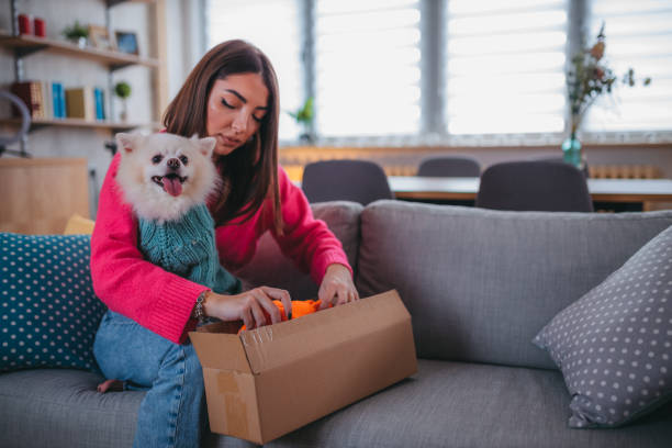 istock Cute pomeranian dog getting new clothes 1371266059