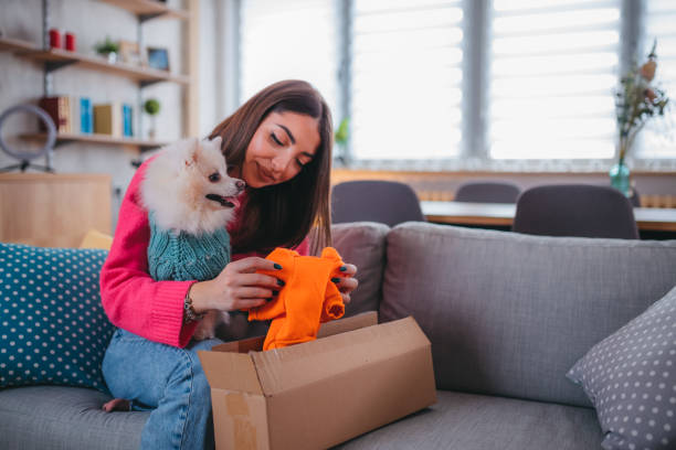 istock Cute pomeranian dog getting new clothes 1371266062