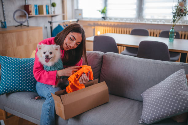istock Cute pomeranian dog getting new clothes 1371266086