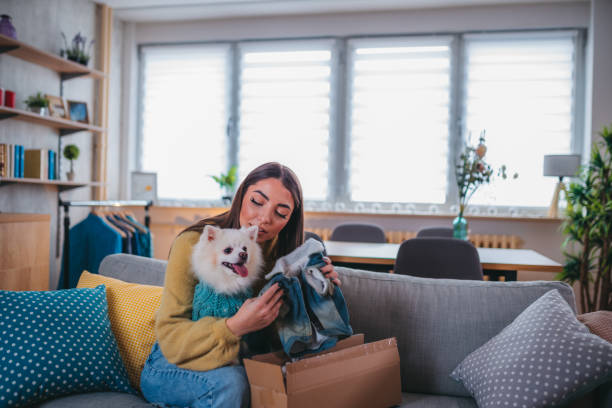istock Cute pomeranian dog getting new clothes 1371266106