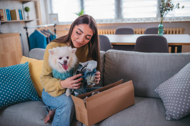 istock Cute pomeranian dog getting new clothes 1371266117