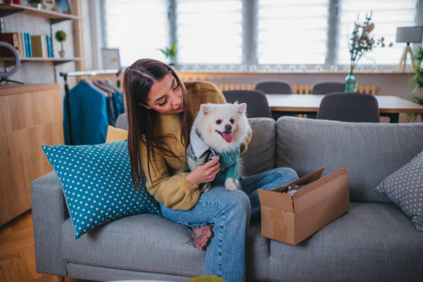 istock Cute pomeranian dog getting new clothes 1371266146