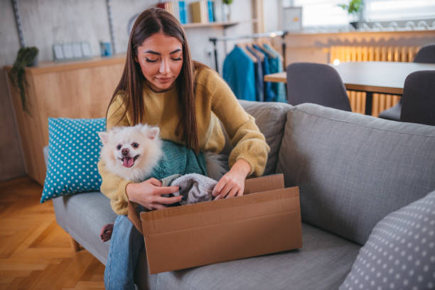 istock Cute pomeranian dog getting new clothes 1371266152