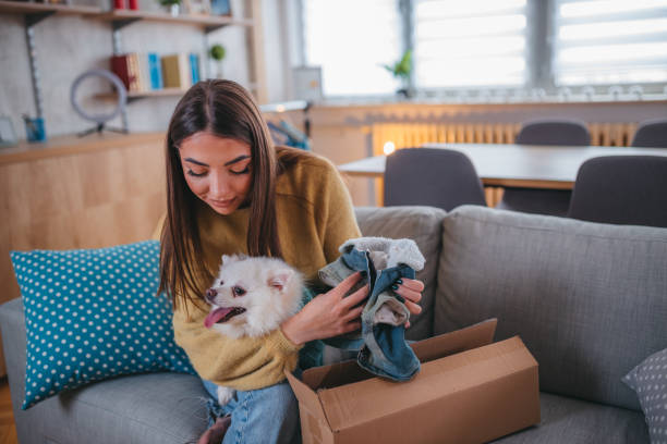 istock Cute pomeranian dog getting new clothes 1371266180