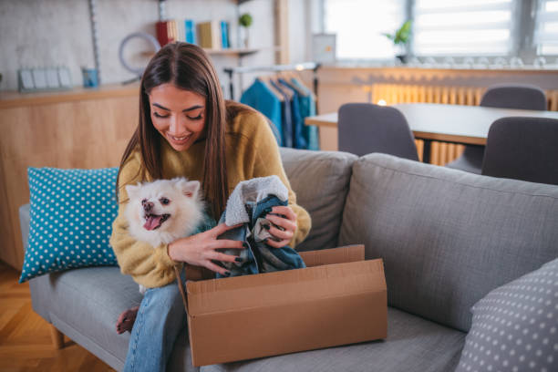 istock Cute pomeranian dog getting new clothes 1371266216