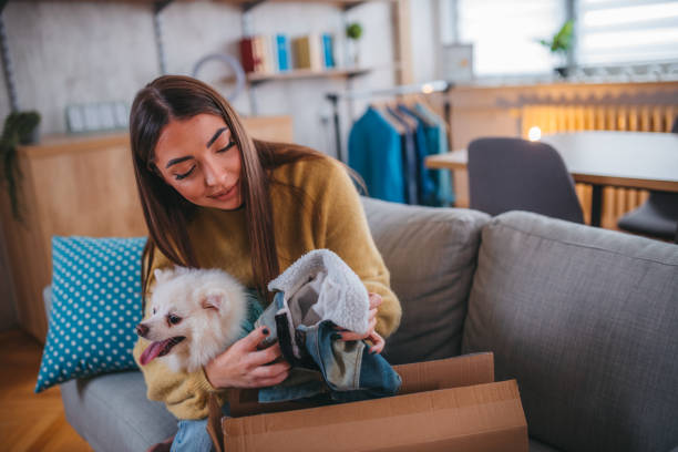 istock Cute pomeranian dog getting new clothes 1371266229