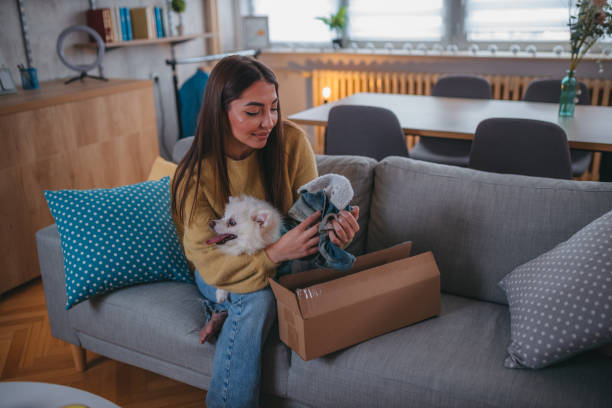 istock Cute pomeranian dog getting new clothes 1371266489