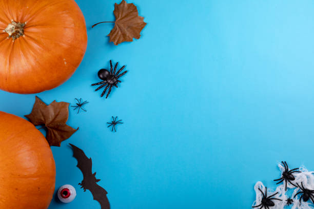 istock Composition of halloween decoration with pumpkin, bats, spiders and copy space on blue background 1371267989