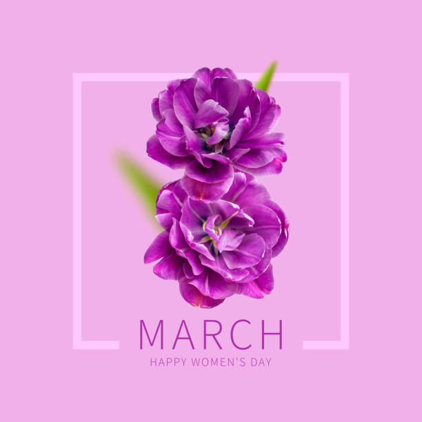 International Women's Day. Creative concept for March 8 from purple tulips. Number eight from purple flowers on light purple background. Flower card, floral composition. Spring, holiday, layout, art International Women's Day. Creative concept for March 8 from purple tulips. Number eight from purple flowers on light purple background. Flower card, floral composition. Spring, holiday, layout, art. womens day flowers stock pictures, royalty-free photos & images