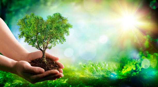 istock Environment - Heart Tree In Nature With Hands And Green Forest  - Earth Day 1371274063