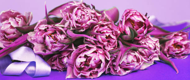 istock purple flower tulips background with copy space. 1371278469