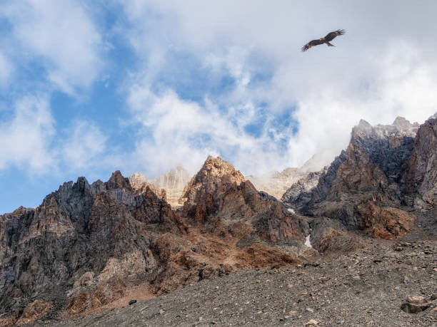 istock Scenic mountain landscape with eagle over sharp rocks under blue cloudy sky. Colorful scenery with foggy sharp rocky mountains. High rocky mountains in golden sunlight. 1371282608