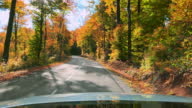 istock POV Driving on a sunny road along a forest 1371283918
