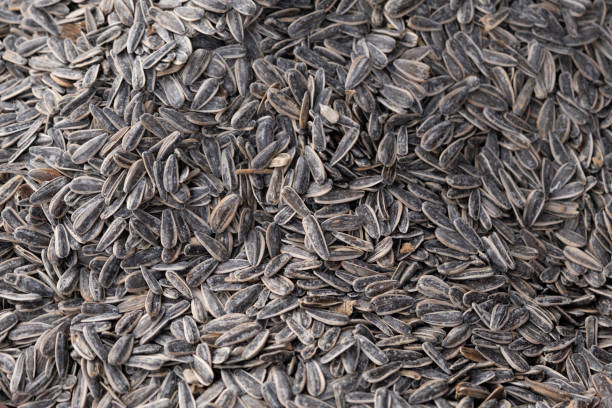 istock Roasted Sunflower Seeds 1371287299