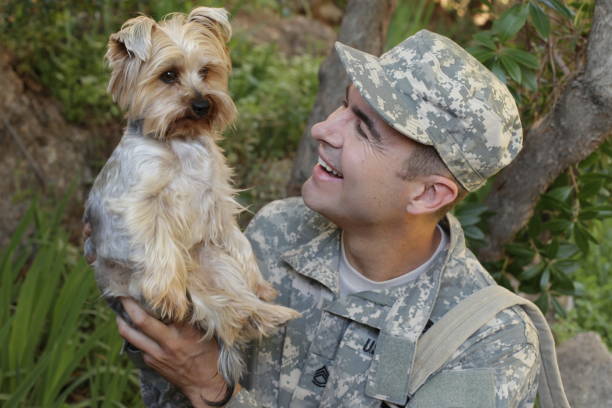 istock Soldier reunited with his dog 1371288670