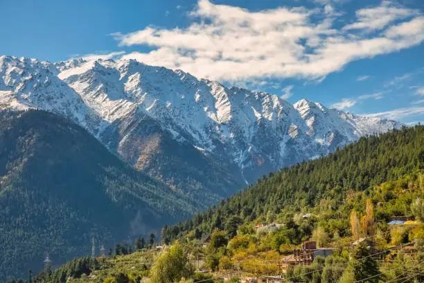 Scenic landscape at Kalpa hill station of Himachal Pradesh with dense forests on the mountain slopes and view of majestic Kailash Himalaya range