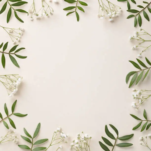Photo of Frame of white flowers and green leaves