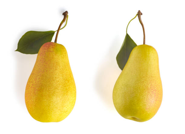 Macro image of a pear on an isolated white background. Retouched pears with leaves on white background. Macro image of a pear on an isolated white background. Retouched pears with leaves on white background. perfect pear stock pictures, royalty-free photos & images