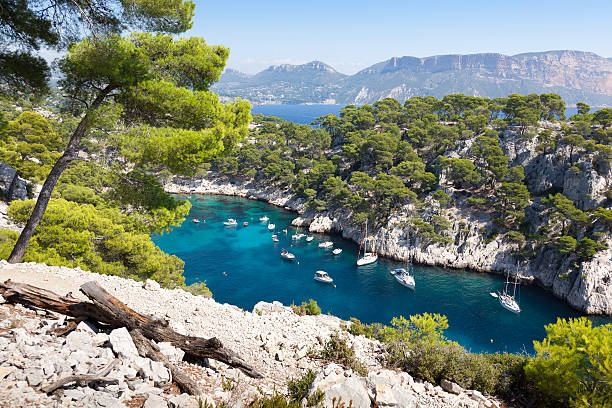 Calanques of Port Pin in Cassis stock photo