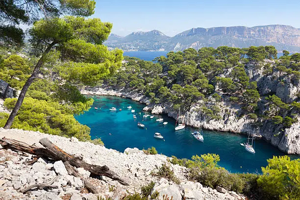 Calanques of Port Pin in Cassis  in France