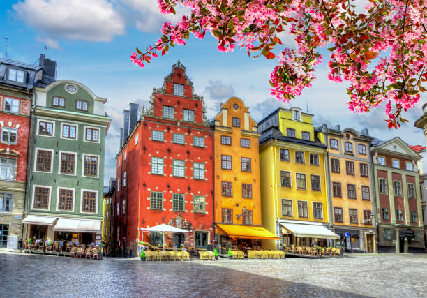 stortorget square in stockholm old town (gamla stan) in spring, sweden - stockholm bildbanksfoton och bilder