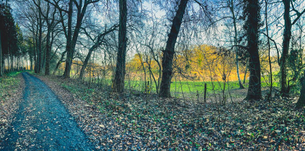 istock A path next to a forest and a river in winter. 1371309392