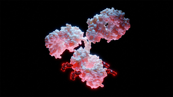 Representación 3D del conjugado de fármacos de anticuerpos (ADC) photo