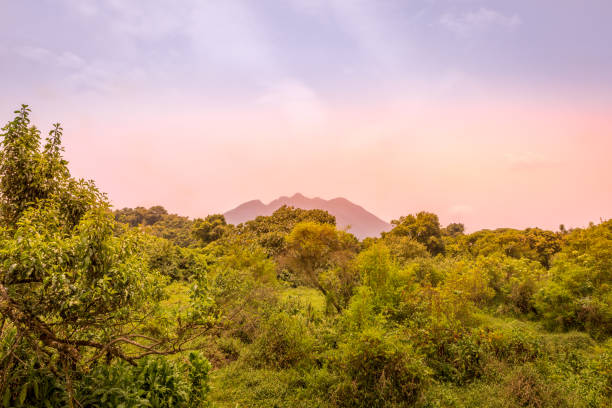 wulkany virunga i park narodowy goryl mgahinga z kisoro w kolorowy wczesny poranek z mgłą w dolinie. dystrykt kisoro, uganda, afryka. - virunga national park zdjęcia i obrazy z banku zdjęć