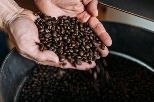 kaffeebohnen in der hand eines arbeiters - coffee beans stock-fotos und bilder