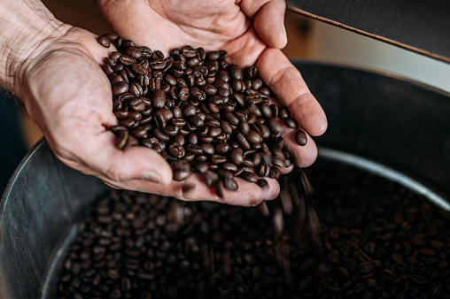 Granos de café en la mano de un trabajador photo