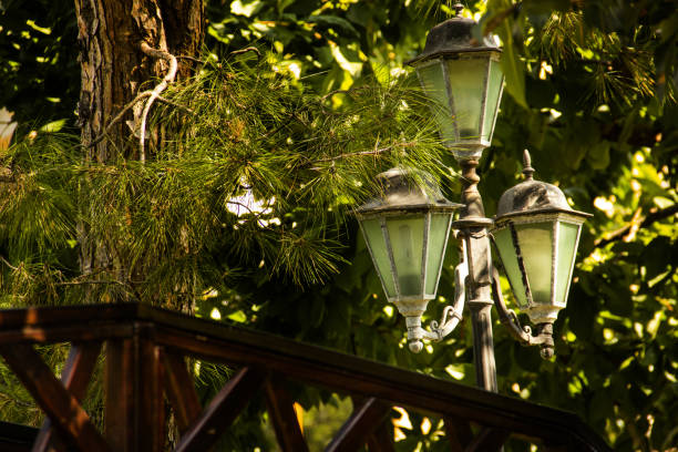 Street lights in the garden
