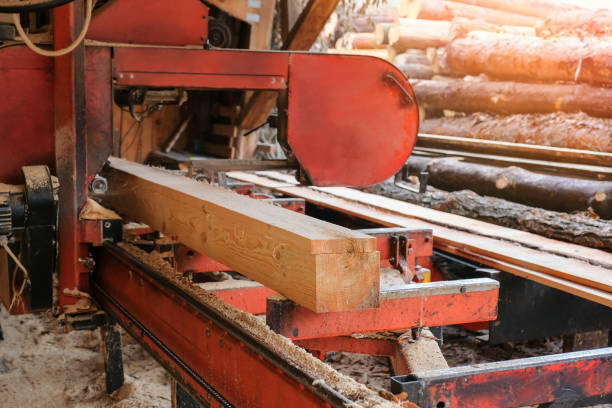 istock The process of processing pine wood at a sawmill. Timber industry 1371318301