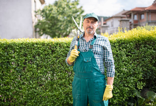 istock Portrait of senior gardener at work. 1371319800