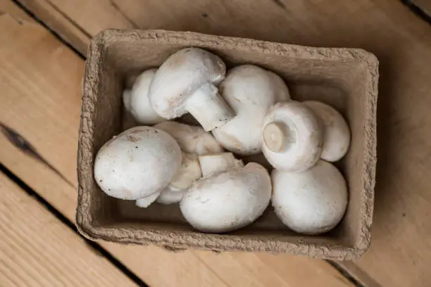 White mushrooms photographed from above, in a punnet shaped box made of recycled cardboard.