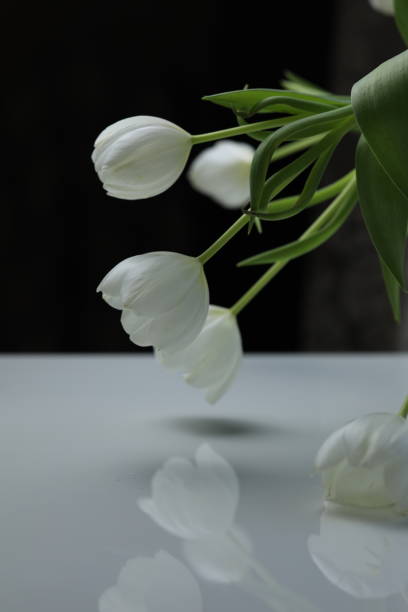 istock bowed tulip buds in a bouquet on the table 1371322006