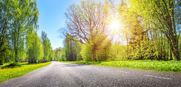 Asphalt road panorama in countryside on sunny day in summer. Route with white dividing lines in beautiful nature landscape.