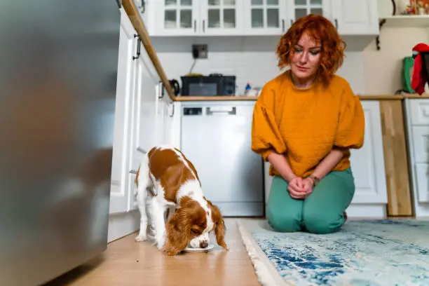 Photo of young woman feeding her dog